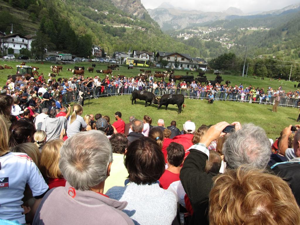 Miramonti Hotel Valtournenche Eksteriør billede